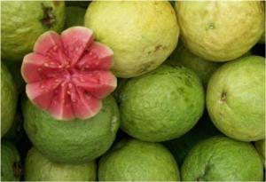 Guave (Ổi)